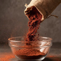 Pigment d'oxyde de fer Fe2O3 à faible teneur en impuretés, qualité industrielle, poudre, approvisionnement direct usine, pigment inorganique économique pour le cuir