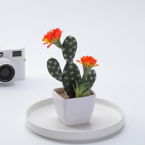 Decorazione della tavola piccoli <span class=keywords><strong>fiori</strong></span> finti in vaso all'ingrosso <span class=keywords><strong>cactus</strong></span> artificiale <span class=keywords><strong>con</strong></span> piccoli verdi succulenti - Product Image 6