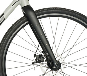 Bicicleta Urbana Unisex 700C de Aluminio Ligero, 11 Velocidades, Directo de Fábrica en China, con Frenos de Disco para Carreras AP - Product Image 3
