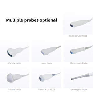 Siui Veterinair Echografie Apogee 1000 Lite Best Verkopende Prijs Draagbare Kleur <span class=keywords><strong>Doppler</strong></span> Veterinaire Echografie Met 15 Inch Display - Product Image 3