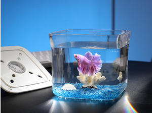 ガロンサイズの透明アクリル製LEDライト付き卓上水槽キット、正方形の水槽カバー、植物装飾、リビング用 - Product Image 6