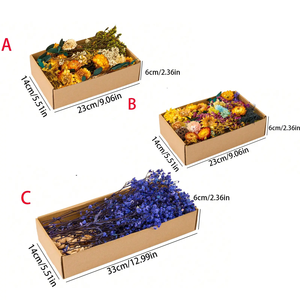 Venta al por mayor conjunto de ramo de flores secas DIY en colores naturales y corona de eucalipto con hierba de Pampa lagurus <span class=keywords><strong>Phalaris</strong></span> - Product Image 3