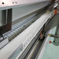 Cage à poules pondeuses de grande capacité avec système d'alimentation automatique, de collecte des œufs et de nettoyage