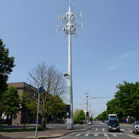 Tour de télécommunication octogonale en acier galvanisé à chaud de 12m, 15m, 25m, 30m, 40m, 50m, 60m, 80m, poteau de communication