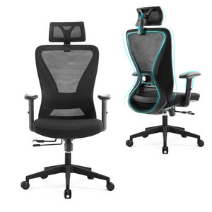 Chaise de bureau ergonomique en maille réglable en hauteur avec support lombaire 2D, chaises de bureau exécutives en maille, mobilier de bureau en gros - Product Image 4
