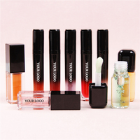 Gloss Repulpant à Marque Privée, Repulpeur Lèvres à l'Huile d'Acide Hyaluronique, Huile Teintée Repulpante en Gros