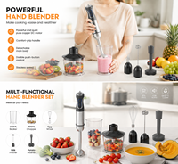 Mixeur Plongeant Professionnel 500/1000W avec Moteur en Cuivre Pur, Vitesse Variable, Tige Amovible, Appareil de Cuisine