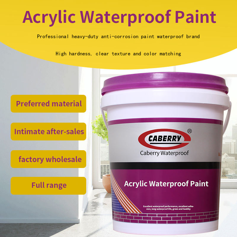 Wholesale CABERRY Factory Acrylic Multifuncional Waterproof Coating ...