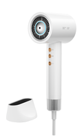 Sèche-cheveux ionique professionnel 1800W, puissant, faible bruit, 2 embouts concentrateurs, 1 embout diffuseur pour la maison, l'hôtel et les voyages