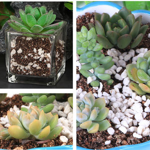 Mit Gummi kunststoff gefüllte Perlit partikel Isolier beschichtung expandierter Perlit filter unterstützen gartenbau lichen Perlit - Product Image 6