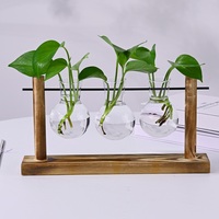 Stations de propagation, vase en verre hydroponique avec cadre en bois, décoration de bureau, décoration de la maison