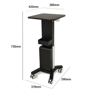 Beauty Instrument <b>Cart</b> 420x380mm Metal <b>Storage</b> Trolley With Wheels For Salon Use - Product Image 1