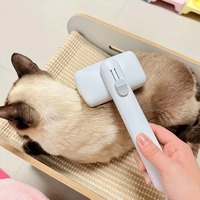 Brosse de toilettage autonettoyante pour animaux de compagnie, éliminateur de poils en un clic, brosse lissante professionnelle pour chiens et chats, outil de massage anti-chute de poils