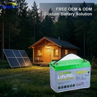 Batterie LiFePO4 12V 120AH Grade A pour Van Life, cycle profond 6K, stockage domestique, BMS intelligent Bluetooth, borne M8, CE RoHS IP67, OEM ODM