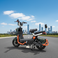 Vélo Électrique 500W à Moteur en Cuivre Pur, Frein à Disque Avant, Phare LED, Double Alarme à Distance pour Adulte - Offre Spéciale