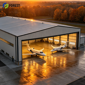 Hangar d'aviation préfabriqué en acier, conçu sur mesure, entrepôt à voûtes hautes, terminal modulaire de débarquement d'avions - Product Image 1