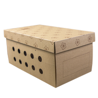 Caja de Cartón Corrugado Marrón Personalizada para Empaque de Frutas, con Tapa Superior e Inferior, Diseño con Orificios de Ventilación para Envío de Fruta Fresca por Proveedores