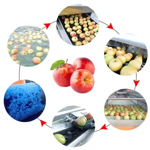 High Efficiency Industrial Automatic Frozen Fruit Processing Line