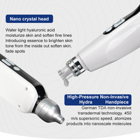 Appareil dermique 2-en-1 sans aiguille, hydratation par nano-cristaux, pour le rajeunissement de la peau du visage, du cou et du cuir chevelu, pistolet haute pression