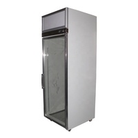 Congélateur mobile de stockage de glace d'affichage de porte en verre simple vertical boîte isotherme de la glace 150l