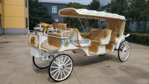 Chariot de Mariage Européen à Prix Abordable, Chariot de Tourisme, Magnifique Chariot Citrouille Blanc Couvert - Product Image 3