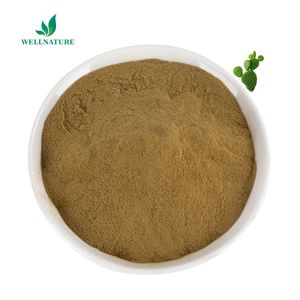 Sản xuất bột xương rồng caralluma fimbriata chiết xuất cây xương rồng chiết xuất - Product Image 2