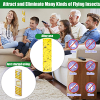 Plastic Gele Kleverige Val Fruit Lijm Board Fly Trap