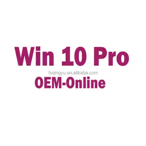 Win 10 Pro OEM Key 1 PC 100% Online Activation Win 10 Pro OEM Digital Key Send By Ali Chat Page