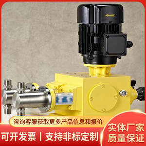 Bomba Dosificadora de Pistón J-Z 60L H20M con Cuerpo de Acero Eléctrico para Equipos Químicos - Product Image 2