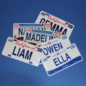 Placas de Matrícula de Metal Fundido al por Mayor, Doradas y Plateadas, para Camiones y Automóviles, Recuerdos - Product Image 1