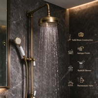 Système de douche pluie mural en laiton brossé antique, style européen, avec mitigeur, tête ronde, barre coulissante et jet doux