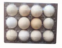 Пластиковый лоток для яиц из ПЭТ ПВХ с 12 отверстиями для упаковки яиц