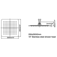 Pommeau de douche haute pression noir mat 10 pouces carré économie d'eau pommeau de douche pluie en acier inoxydable pour salle de bain