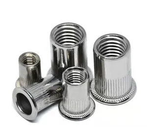 Stainless Steel SS 304 M8 M10 1.25 Rivet Nut M3-M12 Flat Countersunk Head Knurled Threaded Insert Rivet Nut Blind Rivet Nut