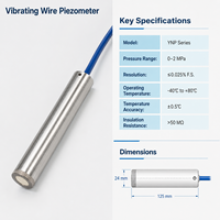 Vibrating Wire Piezometer Stainless Steel Pore Water Pressure Sensor IP66 0.1% FS Accuracy for Dam Tunnel Slope Monitoring