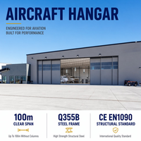 Hangar para Helicópteros, Estructura de Acero, Hangar de Aviación, Almacenamiento de Helicópteros, Mantenimiento y Reparación, Instalación Aeroportuaria