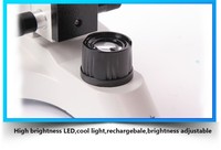 Phenix PH20 Series Best Quality Medical Laboratory Microscope for Laboratory and School