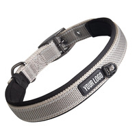 Collier de chien rembourré avec sangle en nylon double couche réfléchissant et robuste avec boucle de ceinture en métal