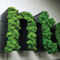 Logo d'entreprise personnalisé 3D lettres et symboles de mousse Art mural vert gazon artificiel mousse caractère signe décoration murale