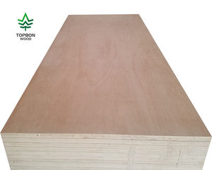 Contreplaqué stratifié en bois de peuplier, contreplaqué commercial, feuille de contreplaqué à acheter - Product Image 3