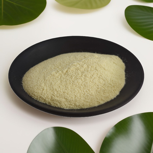 Lactobacillus Salivarius kapsul probiotik bubuk beku putih melindungi kesehatan usus mengurangi dukungan lemak hati - Product Image 5