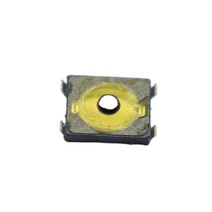 EVPAF5B70 EVPAF7B70 Công Tắc Micro Mini Nhà Máy EVPAFFB65 Công Tắc Màng Tế Bào Smt Smd Cấu Hình Thấp 3*2.6*0.65 - Product Image 2