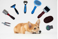 Brosse de toilettage antidérapante pour chiens et chats, peigne pour animaux à dents courtes en acier inoxydable, rangement facile