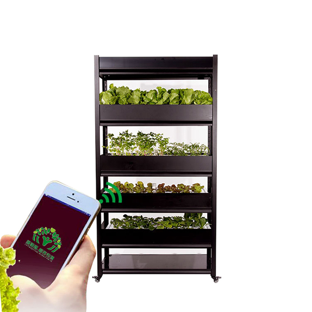 Smart Hydroponic Growing Greenhouse System Cabinet Quick Grow Box for Lettuce Strawberry Herds