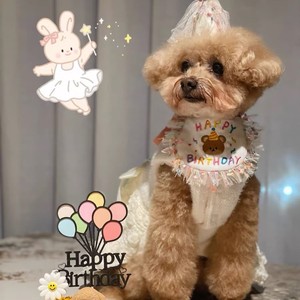 Robes pour chiots, petite taille, jupe en coton, noir et blanc, vêtements pour animaux de compagnie, quatre saisons - Product Image 4