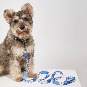 Ensemble collier et laisse pour chien à motif floral bleu marguerite, boucle réglable pour petits chiens - Product Image 6