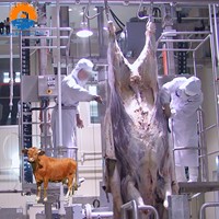 Abattoir halal pour bovins, équipement complet d'abattage, machines de transformation de la viande, opérations d'abattage modernes, personnalisable