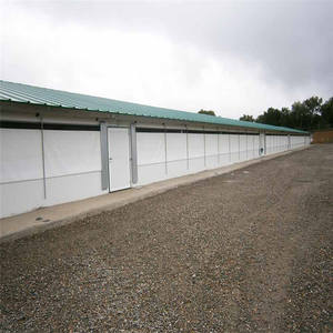 현대 디자인 철골 구조 닭 농장 및 육계 하우스 - Product Image 3