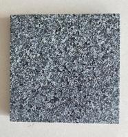 Grandes dalles de granit noir sésame G654, 600x600mm, 20mm d'épaisseur, polies, de qualité supérieure, légères, pour projets de comptoirs et de sols