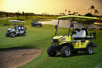 Véhicule électrique de tourisme pour les attractions touristiques, les visites de parcs, les excursions tout-terrain, la visite de propriétés, les voiturettes de golf
